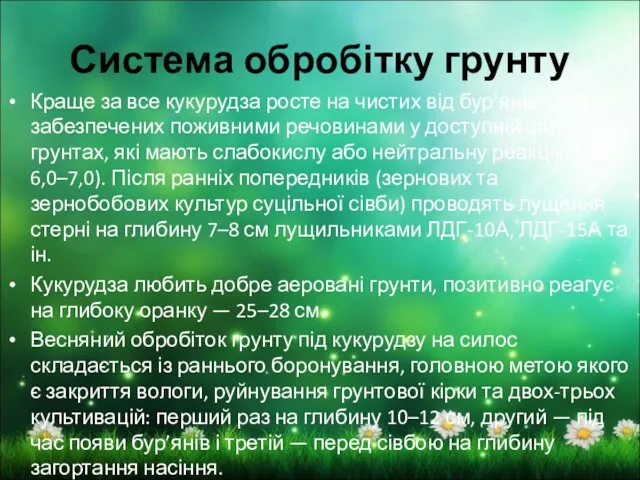 Краще за все кукурудза росте на чистих від бур’янів, добре забезпечених