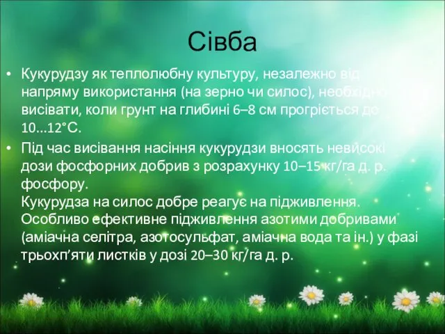 Сівба Кукурудзу як теплолюбну культуру, незалежно від напряму використання (на зерно