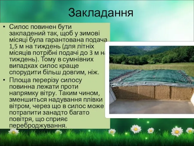 Закладання Силос повинен бути закладений так, щоб у зимові місяці була