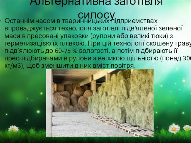 Альтернативна заготівля силосу Останнім часом в тваринницьких підприємствах впроваджується технологія заготівлі