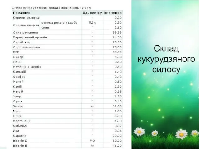 Склад кукурудзяного силосу