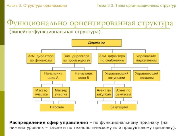 Функционально ориентированная структура Часть 3. Структура организации Тема 3.3. Типы организационных