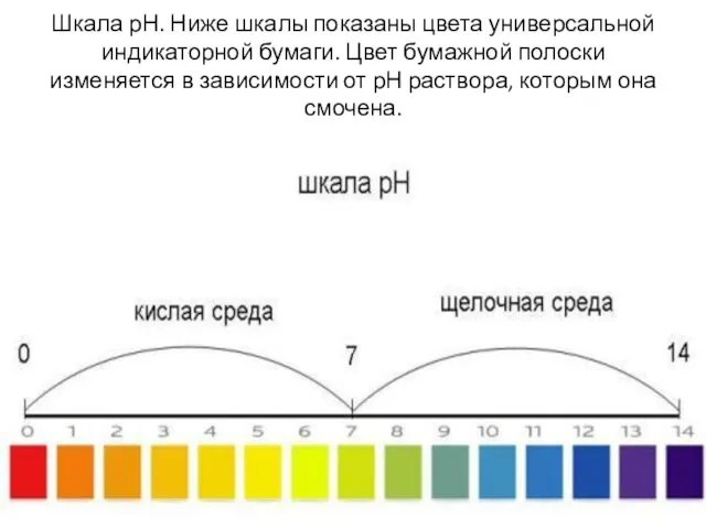 Шкала рН. Ниже шкалы показаны цвета универсальной индикаторной бумаги. Цвет бумажной