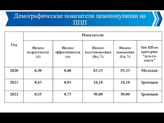 Демографические показатели ценопопуляции на ППП