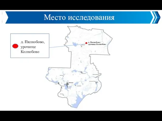 Картосхема расположения шламонакопителя АО "ФосАгро-Череповец" Место исследования д. Пялнобово, урочище Колнобово