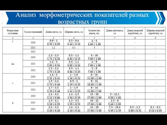 7 Анализ морфометрических показателей разных возрастных групп