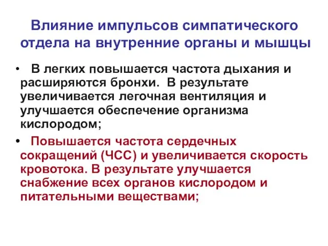 Влияние импульсов симпатического отдела на внутренние органы и мышцы В легких