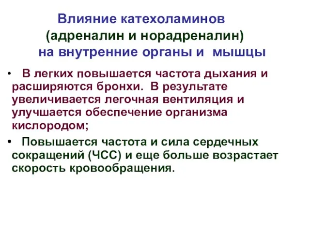 Влияние катехоламинов (адреналин и норадреналин) на внутренние органы и мышцы В