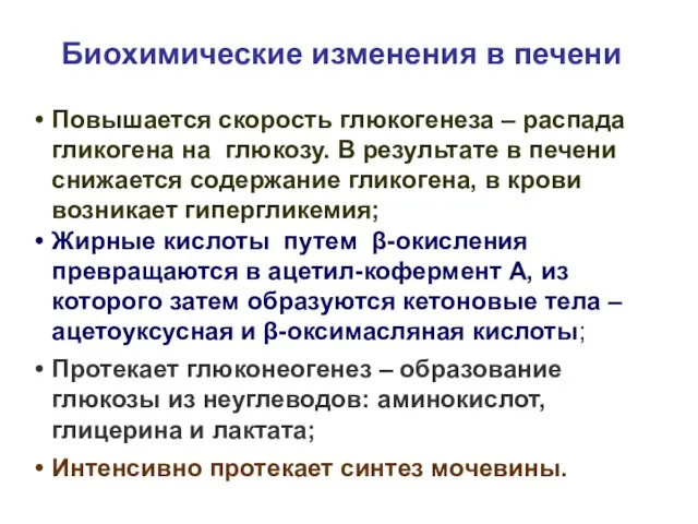 Биохимические изменения в печени Повышается скорость глюкогенеза – распада гликогена на