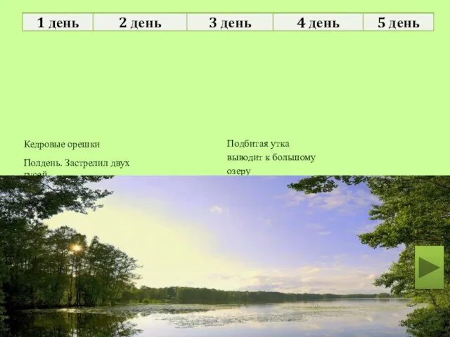 Размышляет о происхождении озера Утром полез на дерево Кедровые орешки Полдень.