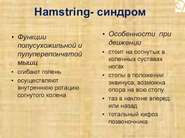 Hamstring- синдром Функции полусухожильной и пулуперепончатой мышц сгибают голень осуществляют внутреннюю