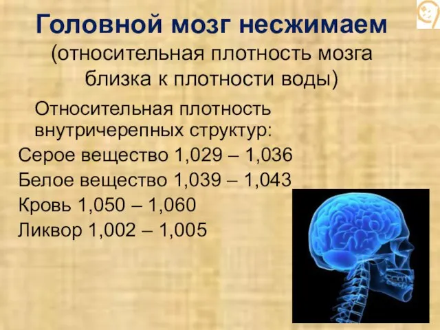 Головной мозг несжимаем (относительная плотность мозга близка к плотности воды) Относительная