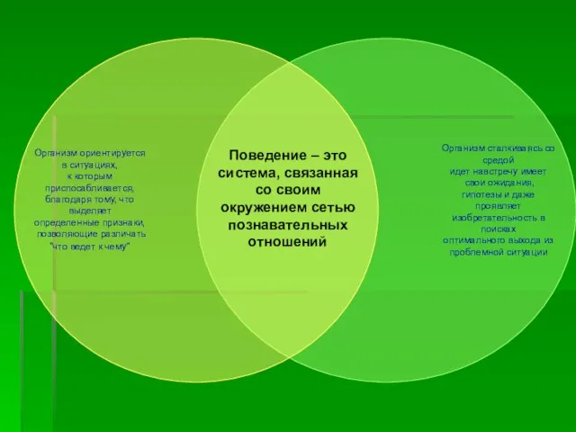 Поведение – это система, связанная со своим окружением сетью познавательных отношений