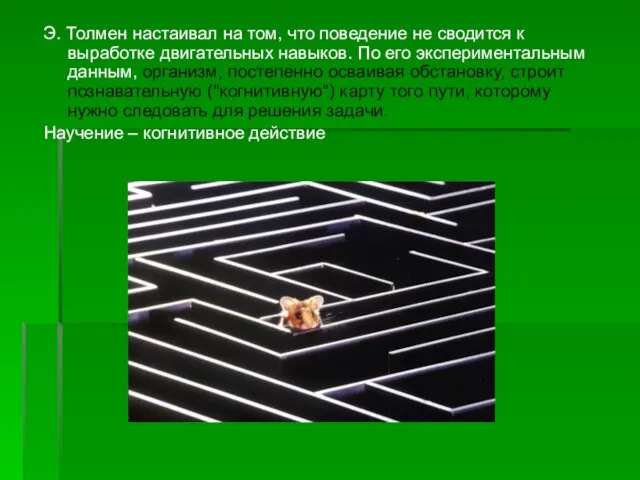 Э. Толмен настаивал на том, что поведение не сводится к выработке