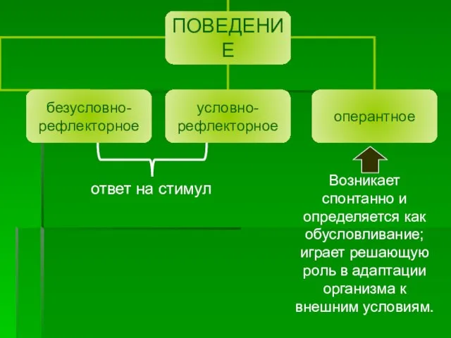 ответ на стимул Возникает спонтанно и определяется как обусловливание; играет решающую