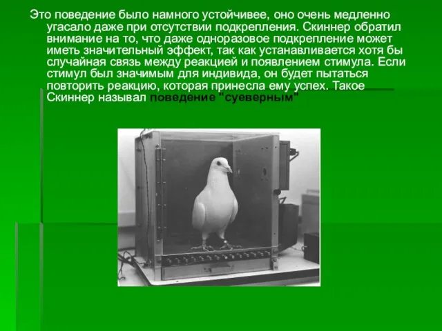 Это поведение было намного устойчивее, оно очень медленно угасало даже при