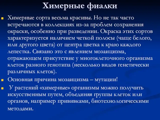 Химерные фиалки Химерные сорта весьма красивы. Но не так часто встречаются