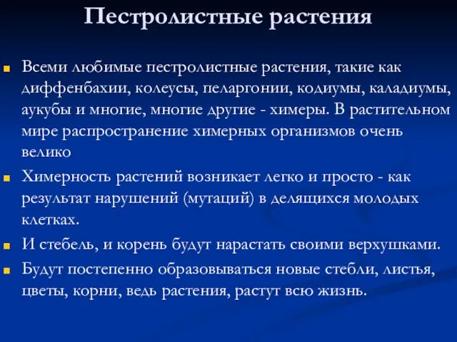 Пестролистные растения Всеми любимые пестролистные растения, такие как диффенбахии, колеусы, пеларгонии,