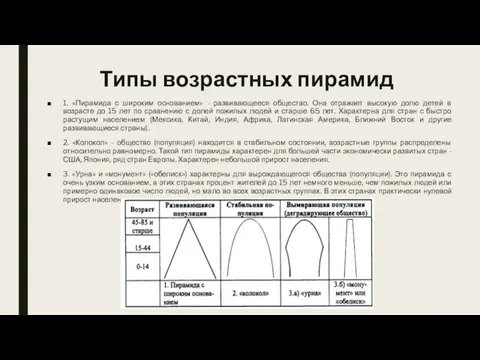 Типы возрастных пирамид 1. «Пирамида с широким основанием» - развивающееся общество.