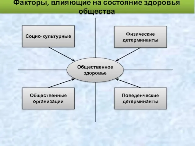 Факторы, влияющие на состояние здоровья общества Социо-культурные Физические детерминанты Общественные организации Поведенческие детерминанты Общественное здоровье