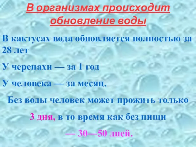 В организмах происходит обновление воды В кактусах вода обновляется полностью за