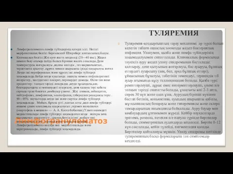 Лимфогранулематоз Лимфогранулематоз-лимфа түйіндерінің қатерлі ісігі. Негізгі марфологиялық белгісі Березовский Штернберг клеткасының