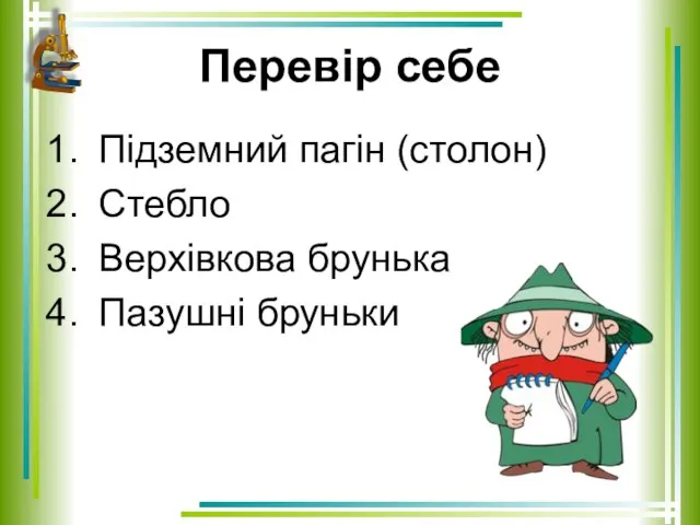 Перевір себе Підземний пагін (столон) Стебло Верхівкова брунька Пазушні бруньки