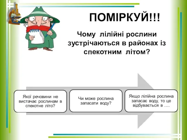 ПОМІРКУЙ!!! Чому лілійні рослини зустрічаються в районах із спекотним літом?