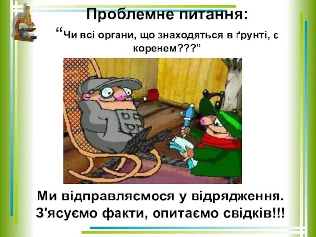 Проблемне питання: “Чи всі органи, що знаходяться в ґрунті, є коренем???”