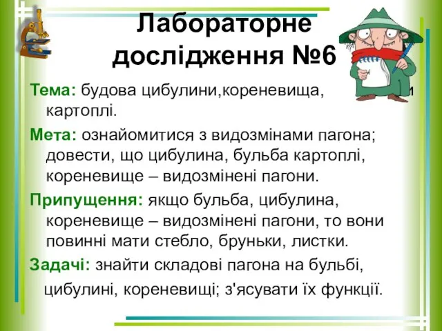 Лабораторне дослідження №6 Тема: будова цибулини,кореневища, бульби картоплі. Мета: ознайомитися з