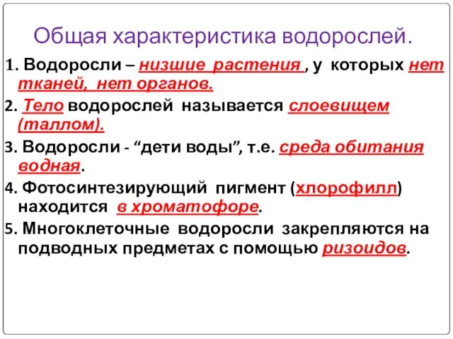 Общая характеристика водорослей. 1. Водоросли – низшие растения , у которых