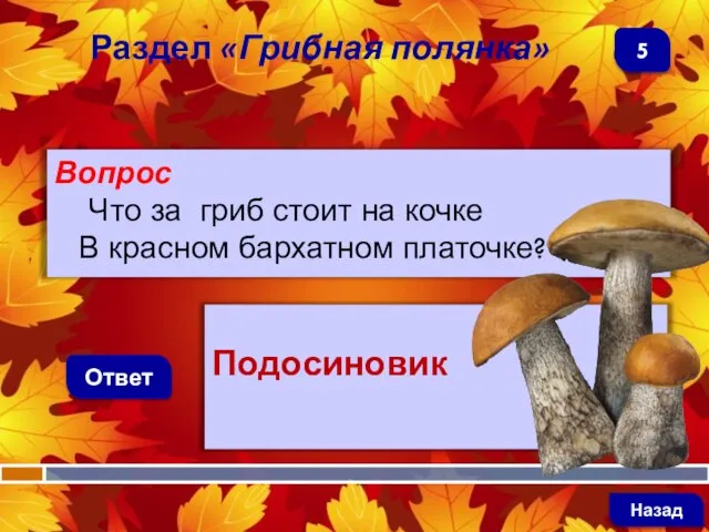 Вопрос Что за гриб стоит на кочке В красном бархатном платочке?