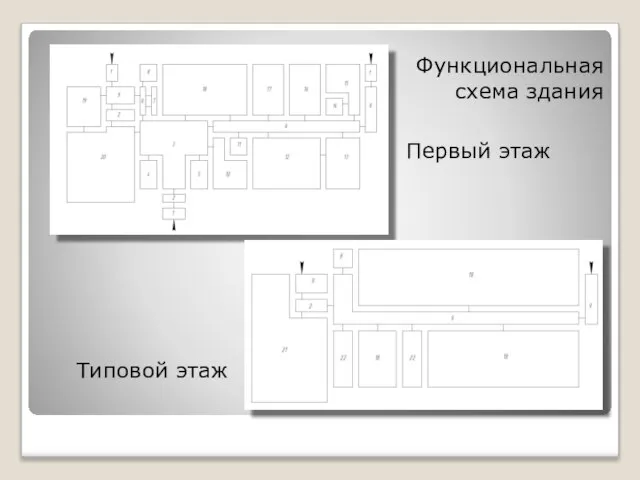 Функциональная схема здания Первый этаж Типовой этаж