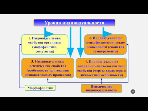 1. Индивидуальные свойства организма (мофофенотип, соматотип) 3. Индивидуальные психические свойства (особенности