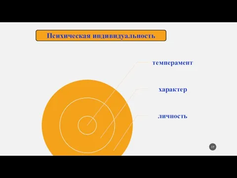 Психическая индивидуальность