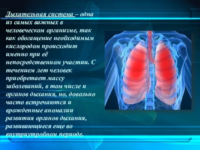 Дыхательная система – одна из самых важных в человеческом организме, так