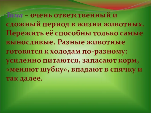 Зима – очень ответственный и сложный период в жизни животных. Пережить