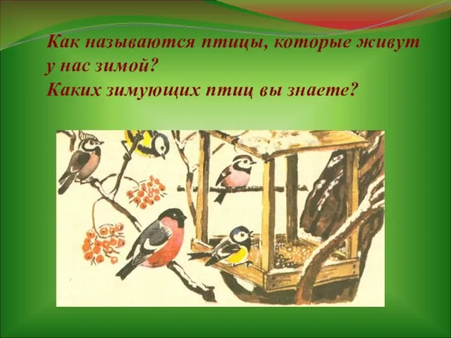 Как называются птицы, которые живут у нас зимой? Каких зимующих птиц вы знаете?