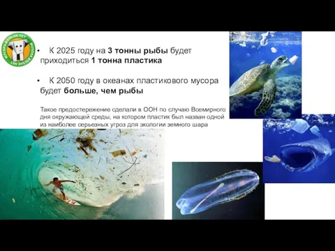К 2025 году на 3 тонны рыбы будет приходиться 1 тонна