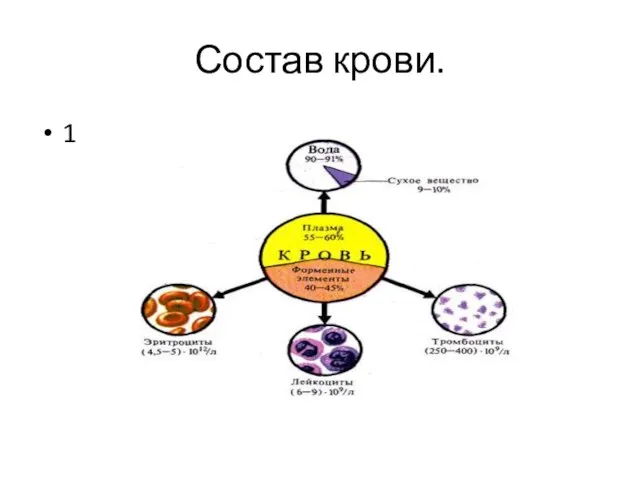 Состав крови. 1