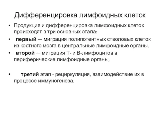 Дифференцировка лимфоидных клеток Продукция и дифференцировка лимфоидных клеток происходят в три