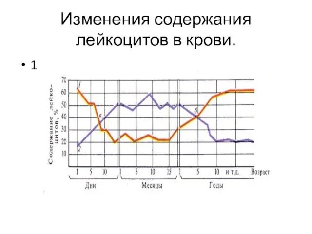 Изменения содержания лейкоцитов в крови. 1