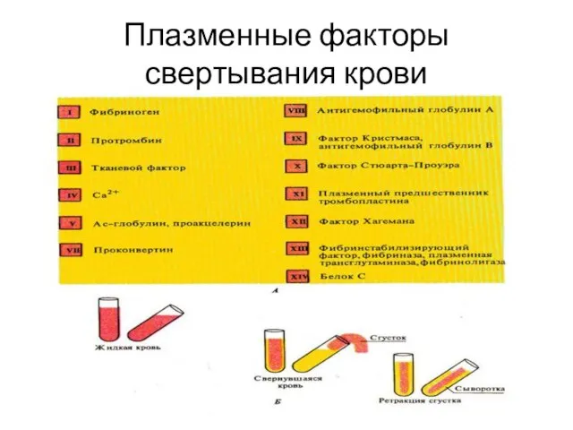 Плазменные факторы свертывания крови