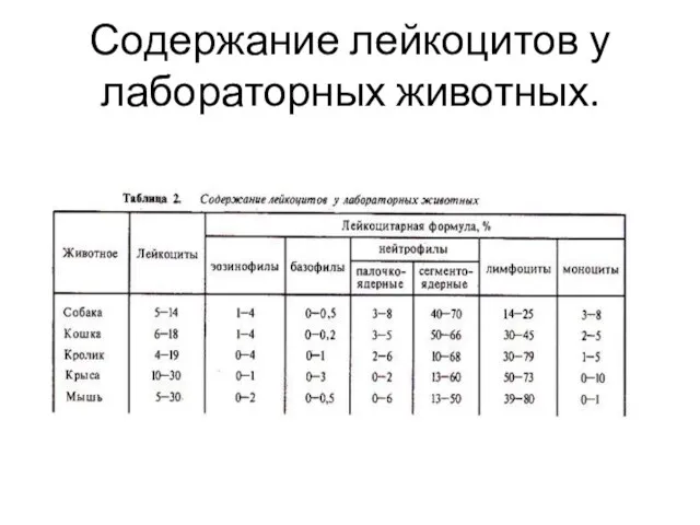 Содержание лейкоцитов у лабораторных животных.