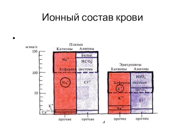 Ионный состав крови 1