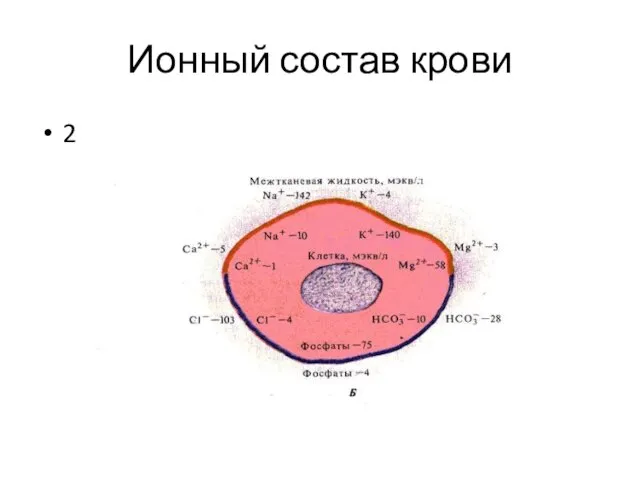 Ионный состав крови 2