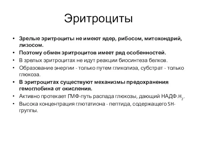 Эритроциты Зрелые эритроциты не имеют ядер, рибосом, митохондрий, лизосом. Поэтому обмен