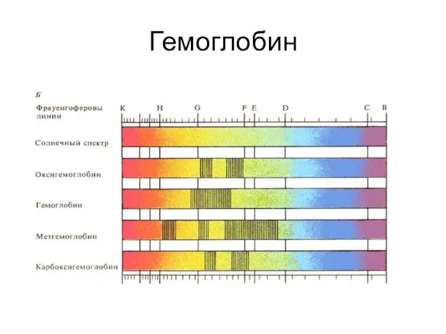 Гемоглобин