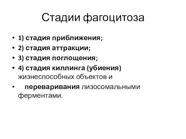 Стадии фагоцитоза 1) стадия приближения; 2) стадия аттракции; 3) стадия поглощения;