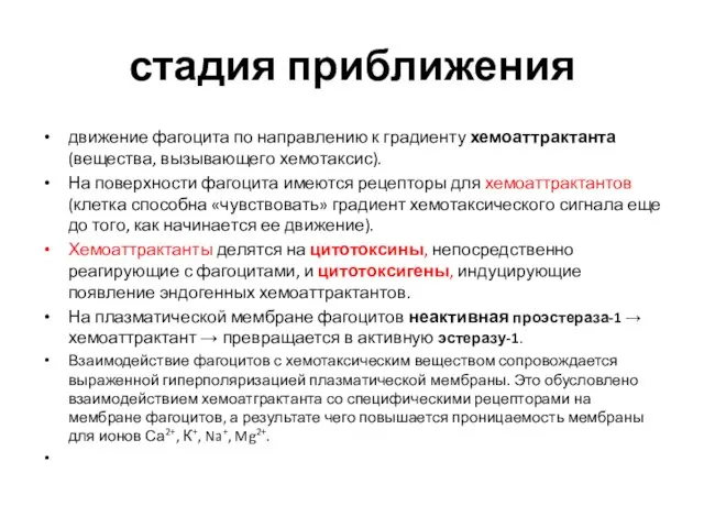 стадия приближения движение фагоцита по направлению к градиенту хемоаттрактанта (вещества, вызывающего